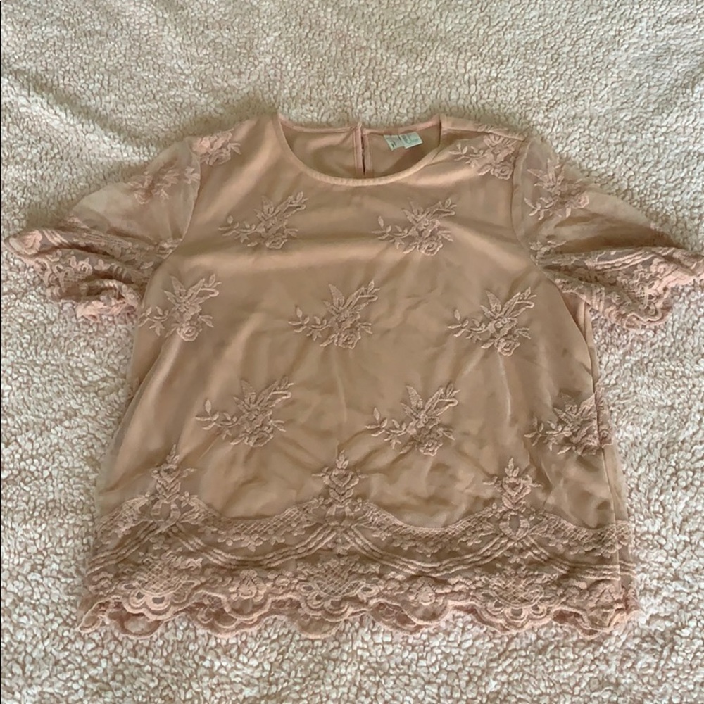 Nude Lace Short Sleeved Top